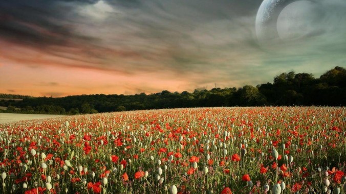 DLM（扩散语言模型）会成为2025年的Mamba吗？